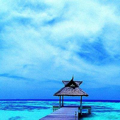 经典牛牛app下载