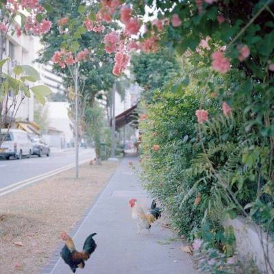 乐虎国际手机app下载