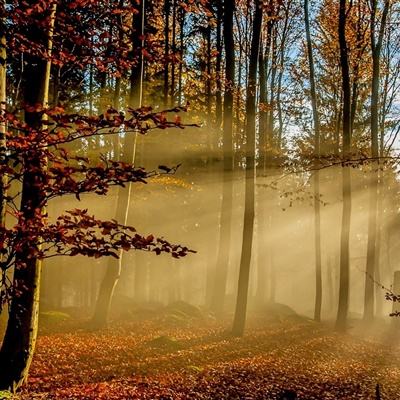 云顶集团app下载