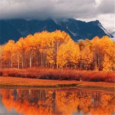 beat365中国在线体育下载手机版