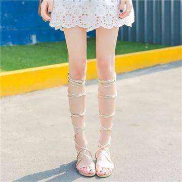 竞彩足球APP官方下载手机app下载